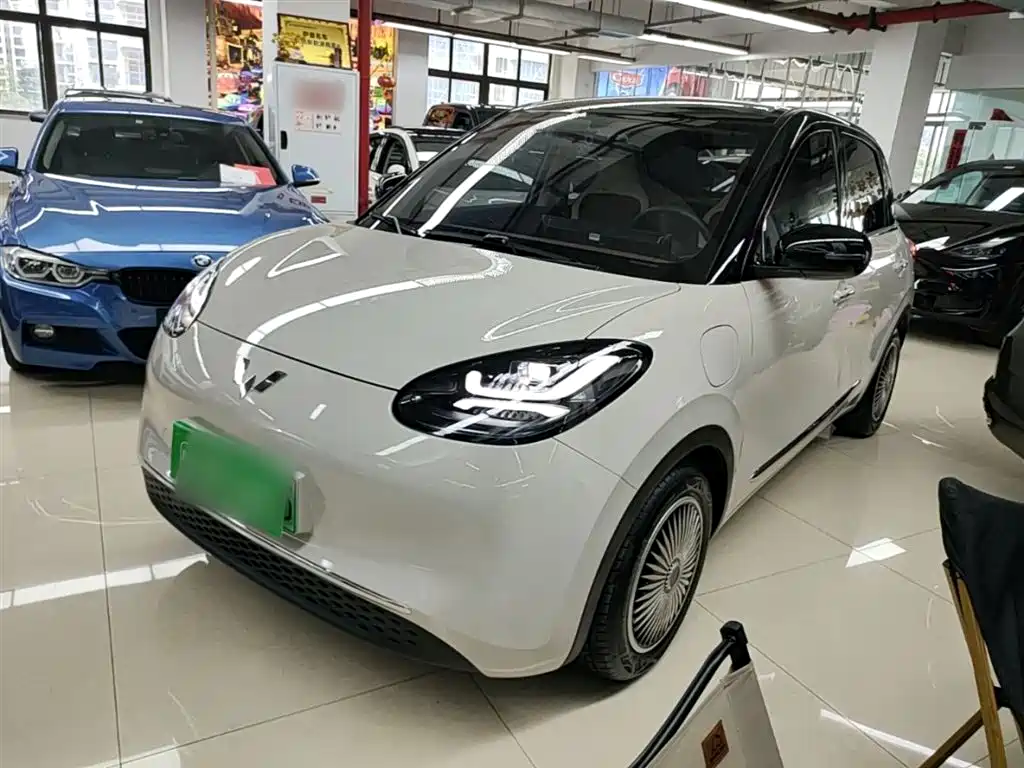 Wuling Motors Wuling Bingo 2024 333km Comfort Edition