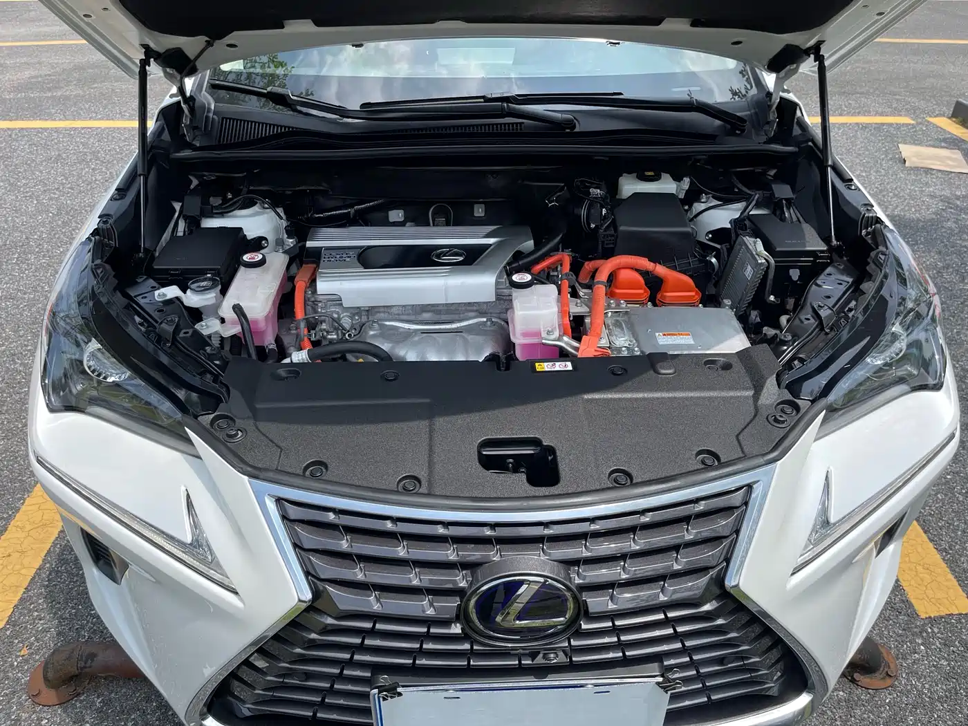 Lexus NX 2020 300h FWD F Sport China VI фото 25