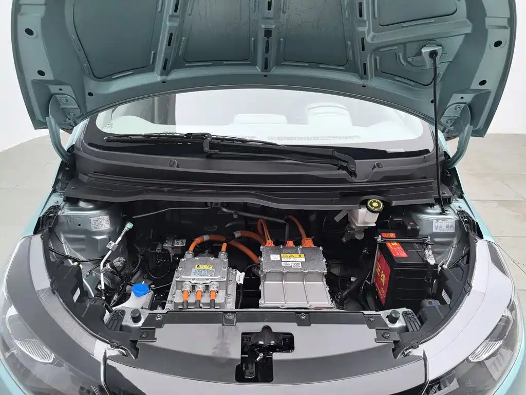 JMCG New Energy Little Kirin 2024 2023 Model Lucky Edition 201km Comfort