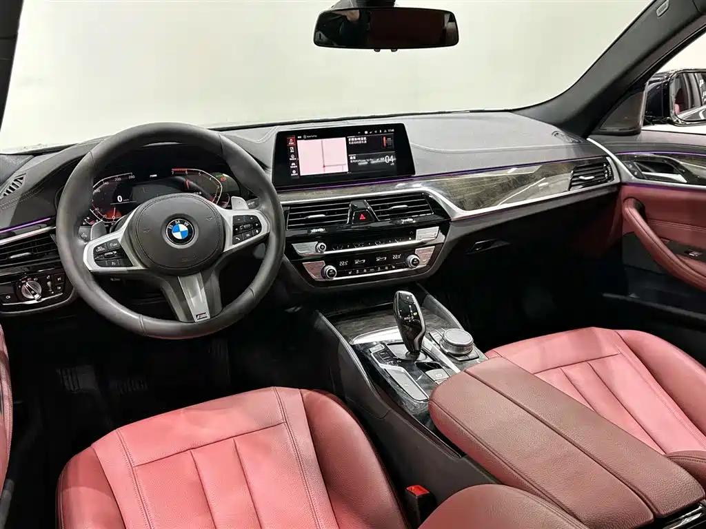 BMW 5 Series 2020 530Li Leading M Sport Package фото 11