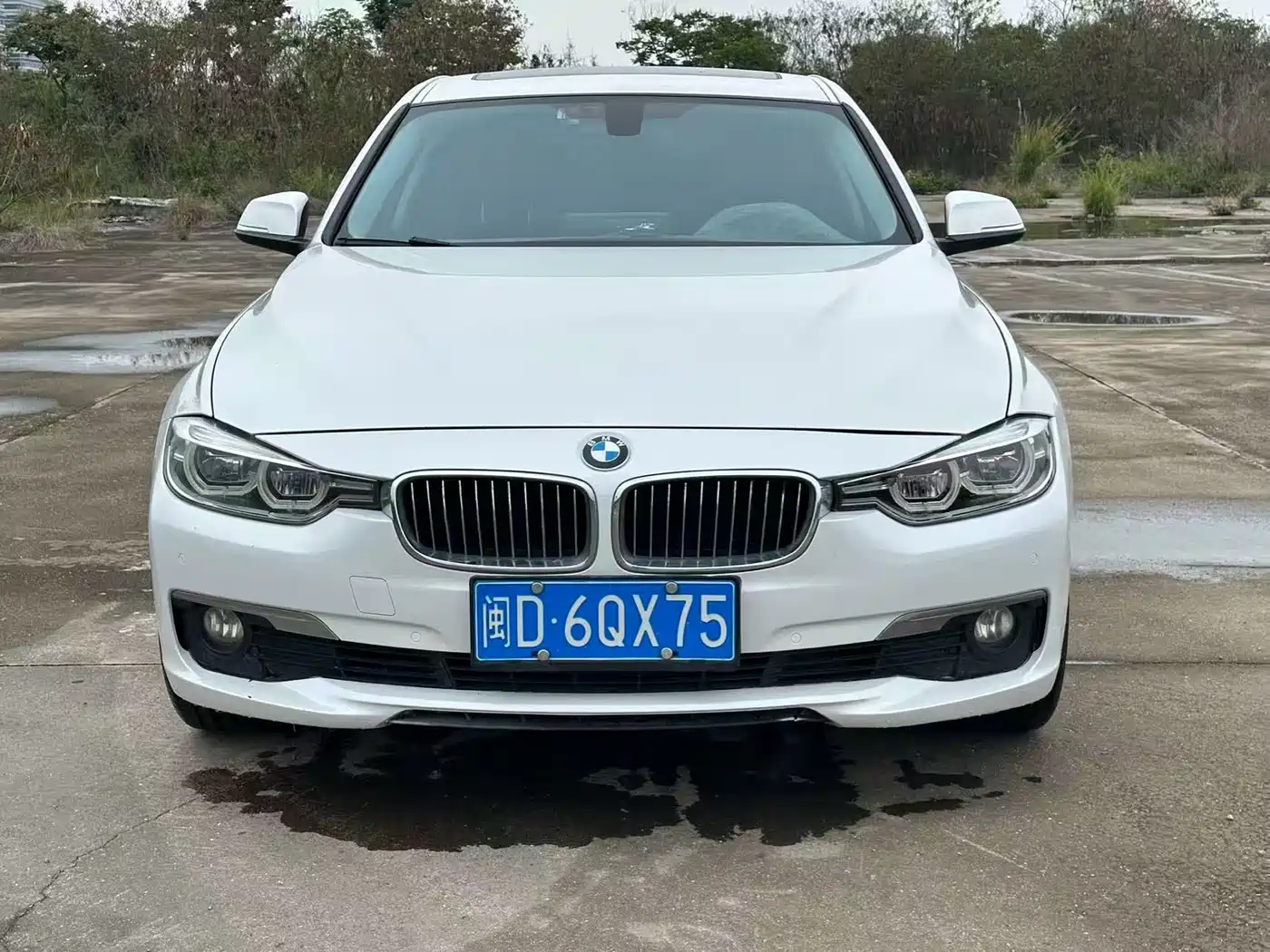 BMW 3 Series 2016 320Li Luxury Design Package фото 2
