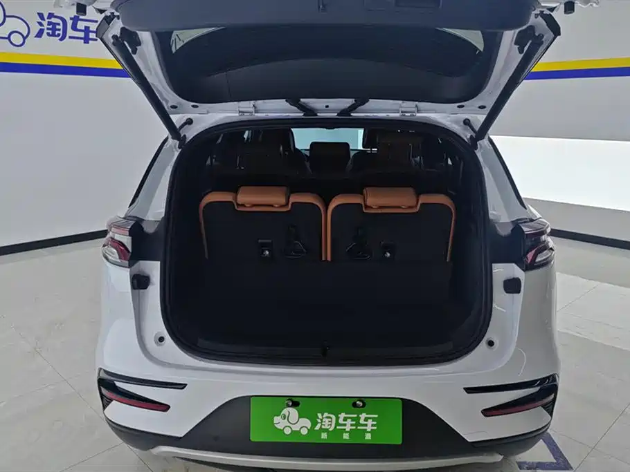 BYD Tang New Energy 2023 Model DM-i Champion Edition 112KM Premium фото 4