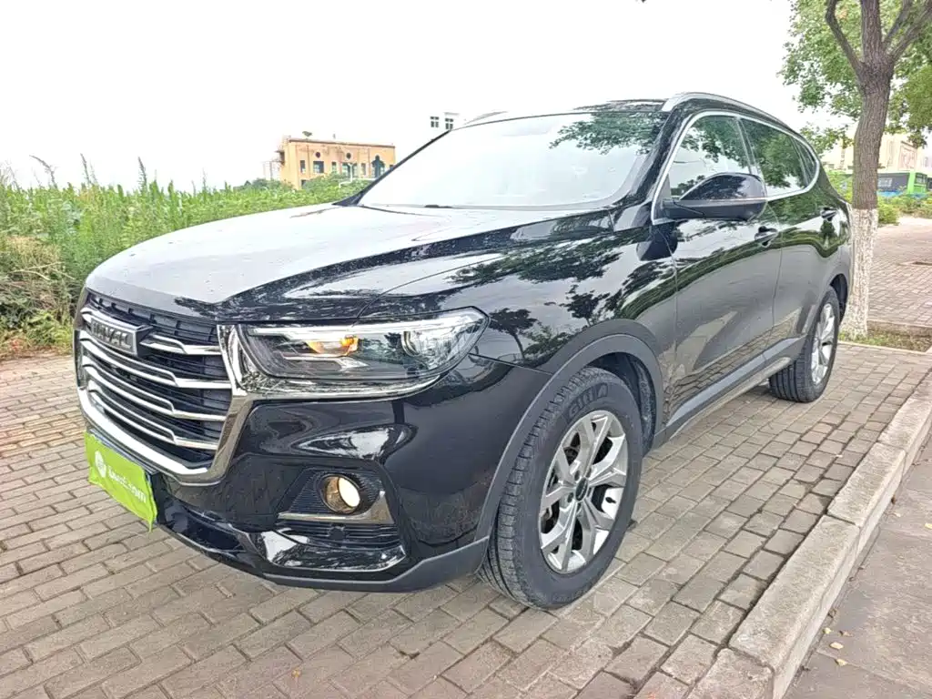  Haval Haval H6 2021 Model National Trend Edition 1.5T Auto Champion