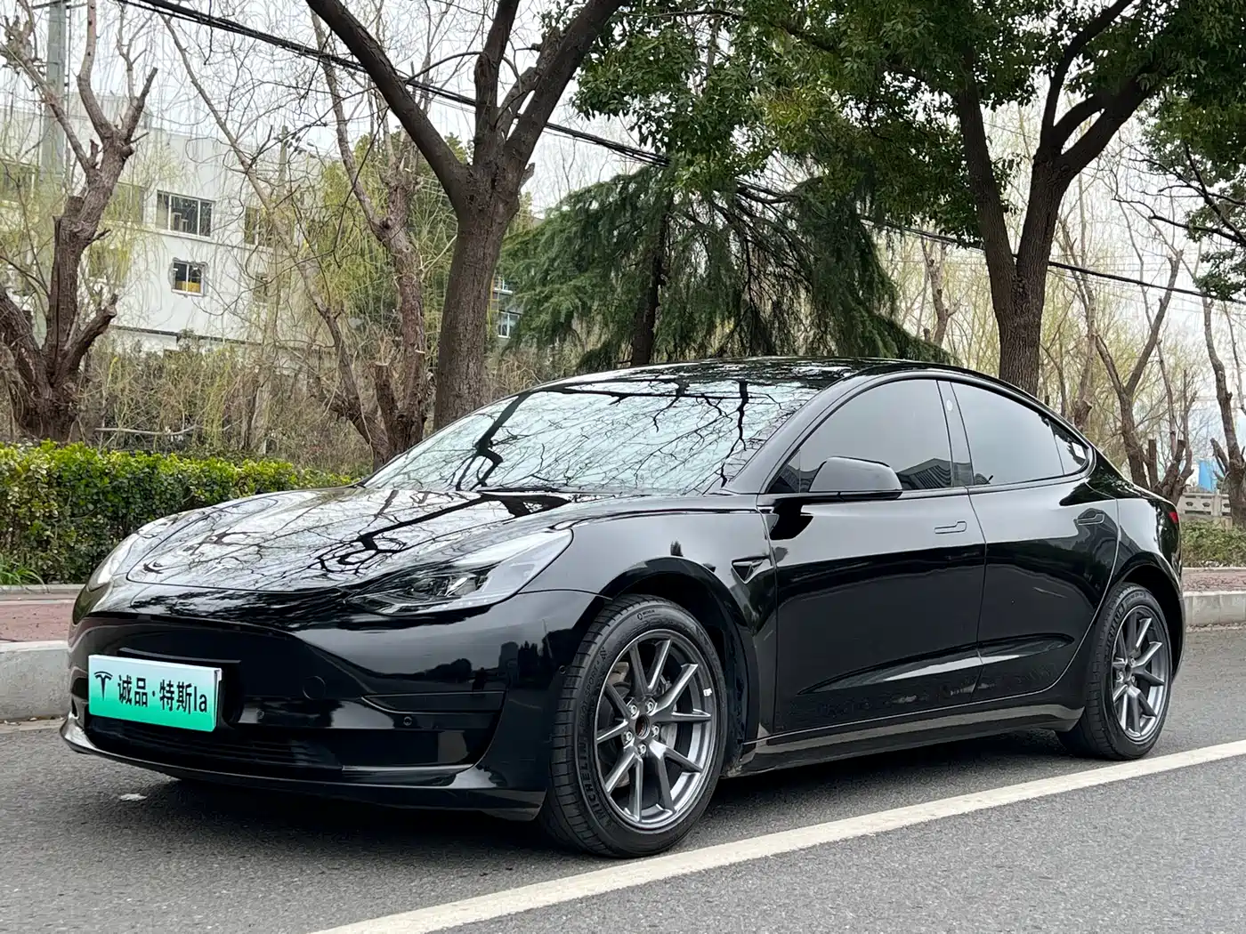 TESLA MODEL 3
