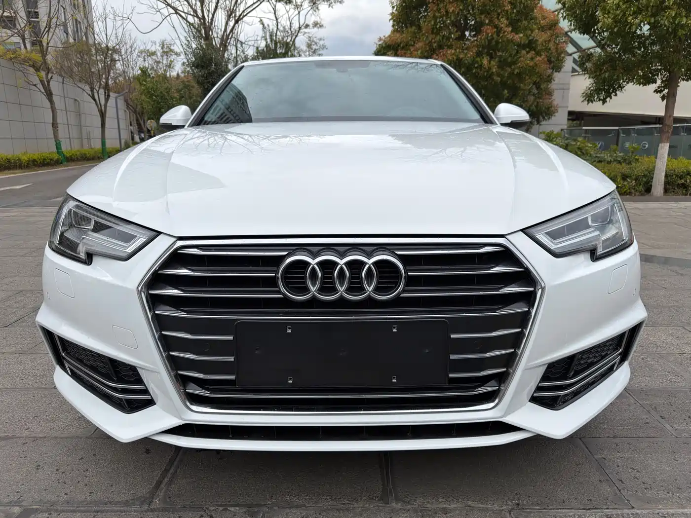 Audi A4L 2019 40 TFSI Progressive (China V) фото 12