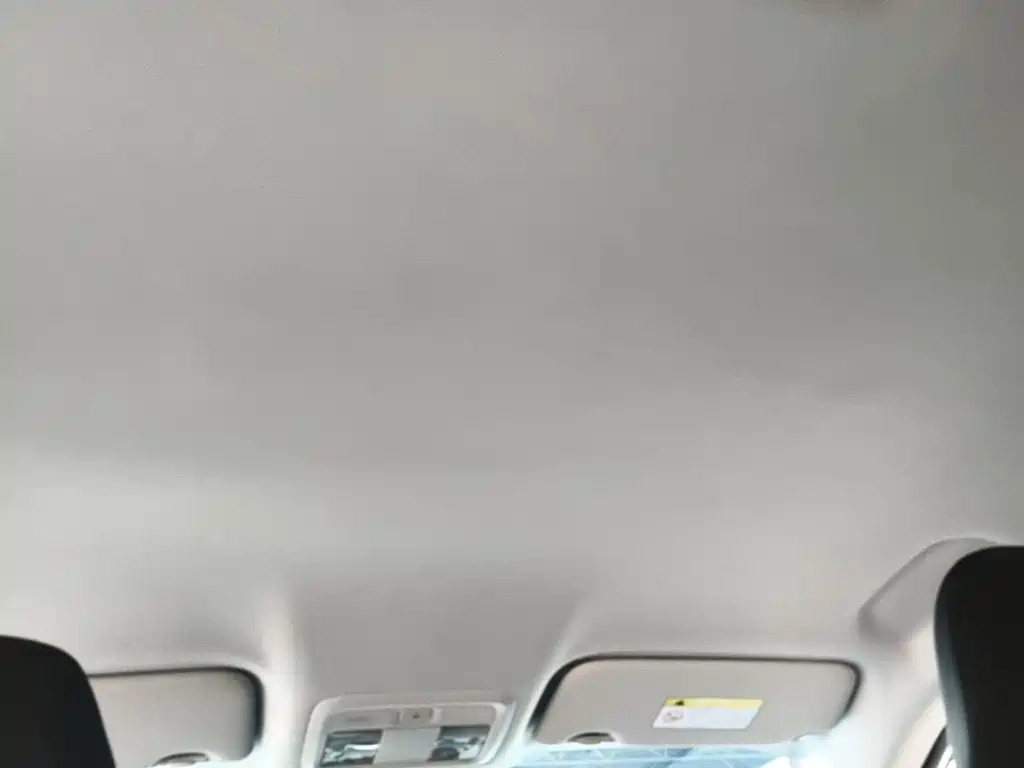 Dongfeng Aeolus SKY EV01 2024 2024 530km PRO
