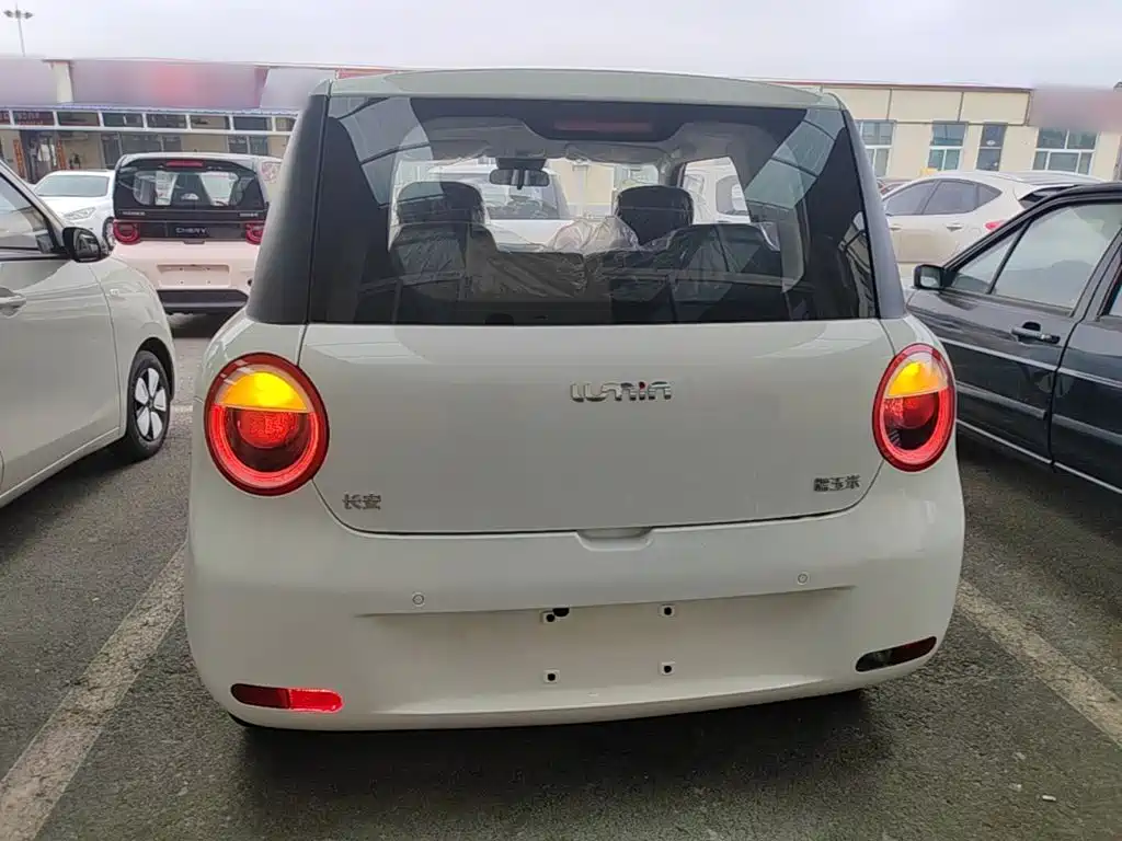 Changan Qiyuan Changan Lumin 2026 2026 Model 205km Treasure Edition