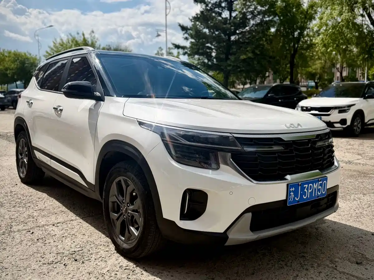 Kia Seltos 2024 2023 1.5L CVT Luxury Edition
