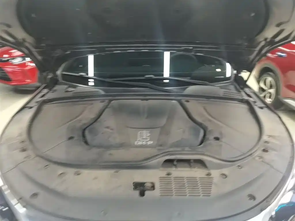 BYD Tang New Energy 2024 DM-p Glory Edition 215KM AWD Premium фото 20