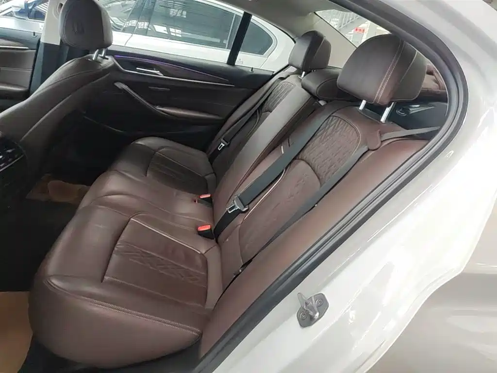 BMW 5 Series 2018 Facelift 530Li Leading Luxury Package фото 17