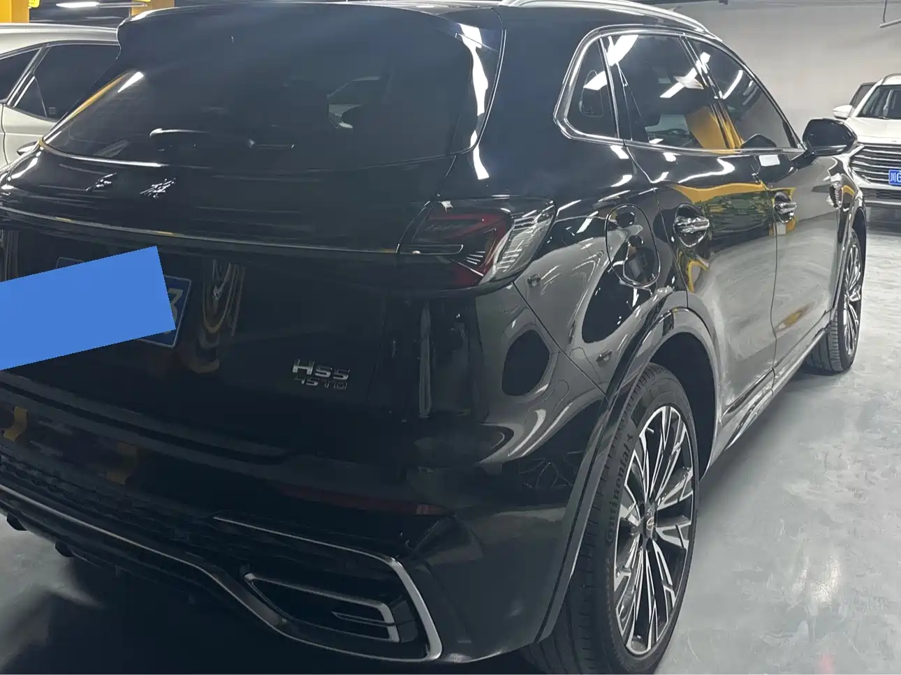 Hongqi HS5 2023 2.0T AWD Flag Pro 500,000 Units Commemorative Edition фото 11