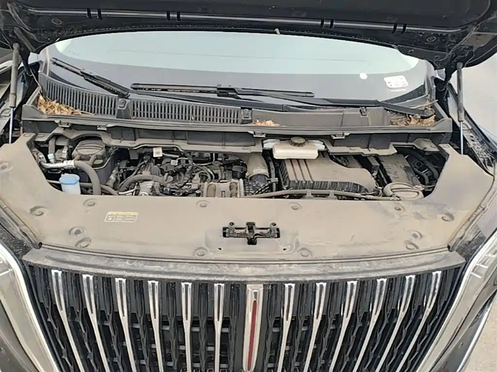 Hongqi HQ9 PHEV 2024 Model 2.0T AWD Business Edition фото 20