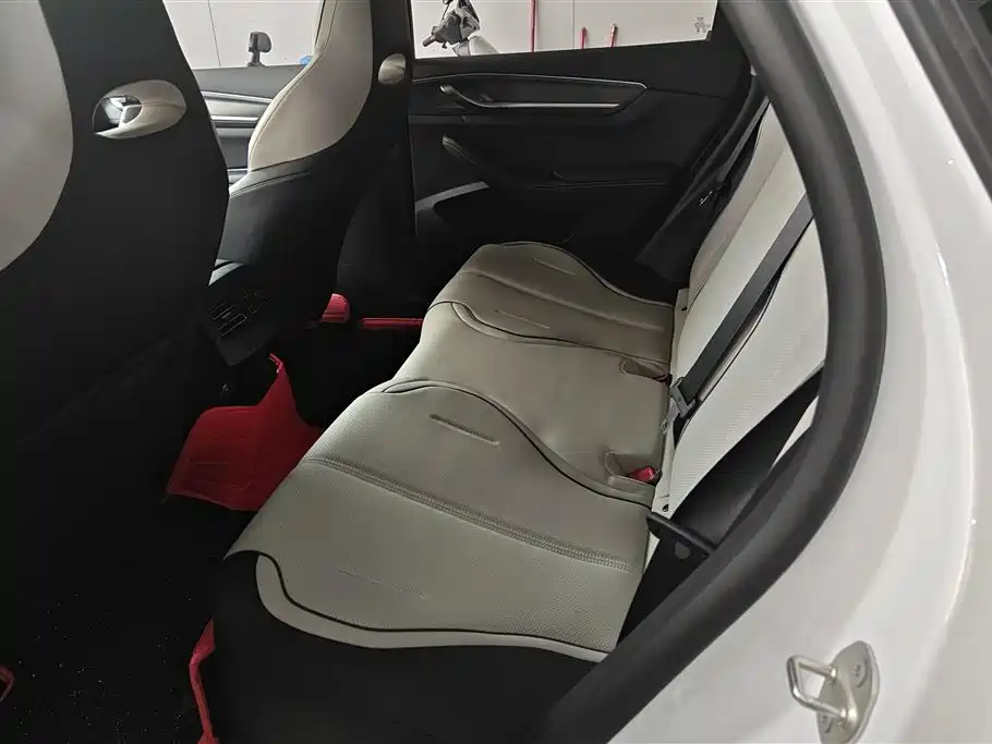 BYD Destroyer 05 2024 Glory Edition DM-i 55KM Luxury фото 11