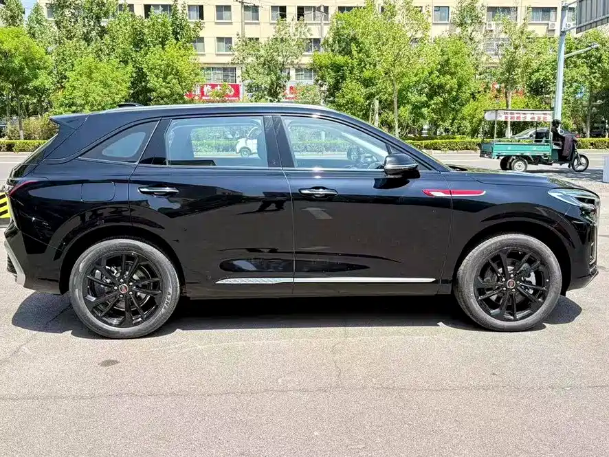 Hongqi HS3 PHEV 2025 125km Jingwei 2 Million Commemorative Edition фото 5
