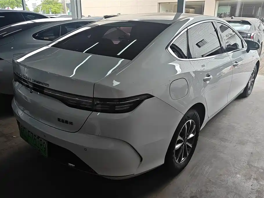 BYD Destroyer 05 2024 Glory Edition DM-i 55KM Luxury фото 3