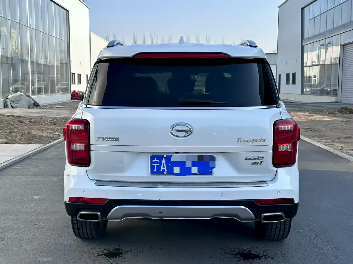 GAC Trumpchi Trumpchi GS8 2017 320T 2WD Luxury Smart Connect (7-seater) фото 8