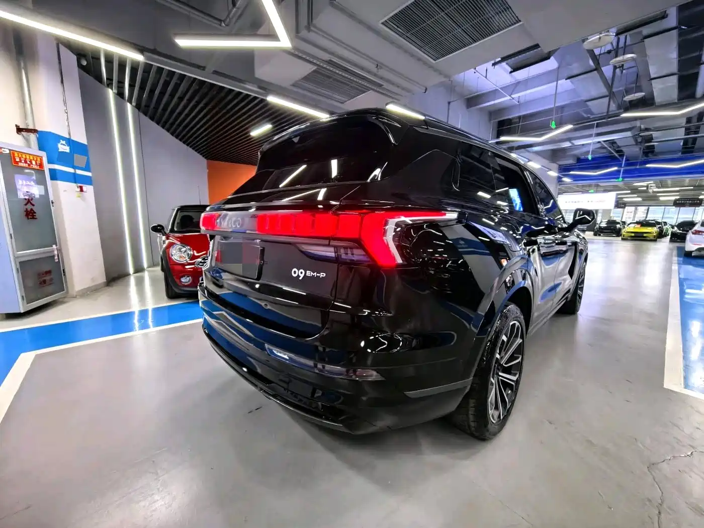 Lynk & Co 09 EM-P 2024 2.0TD EM-P AWD HALO 6-Seater фото 9
