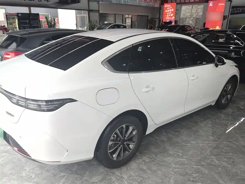 BYD Destroyer 05 2024 Glory Edition DM-i 55KM Luxury фото 7