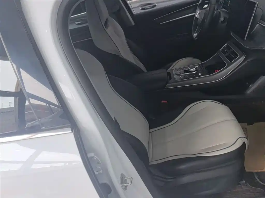 BYD Destroyer 05 2024 Glory Edition DM-i 55KM Luxury фото 25