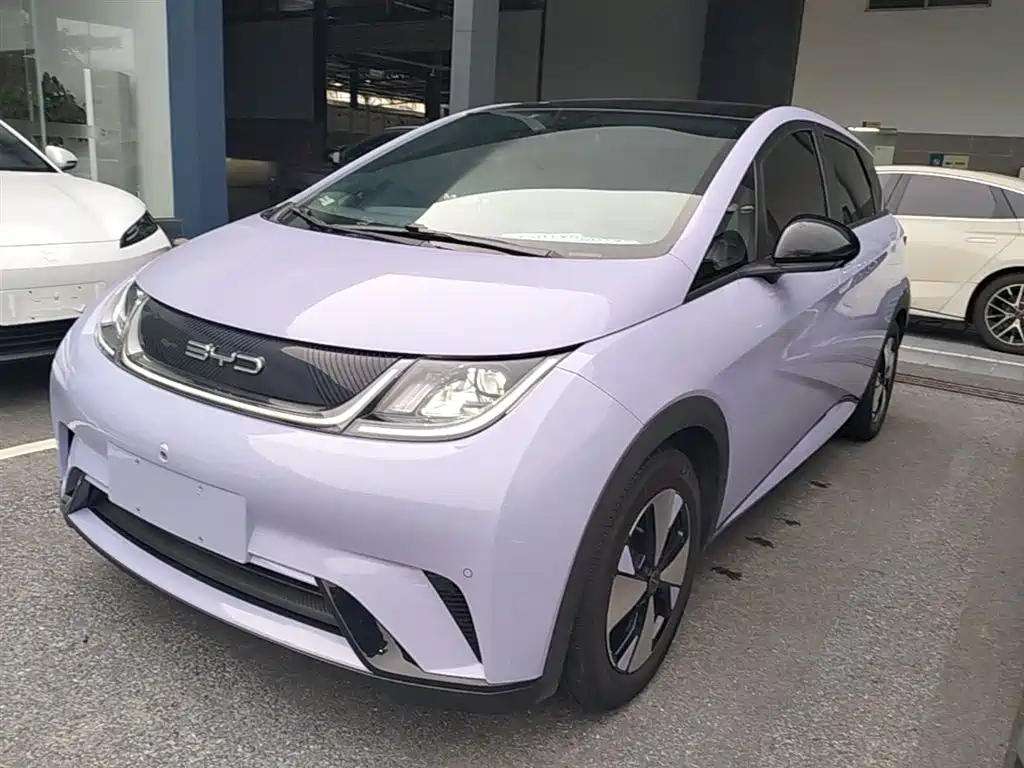 BYD Dolphin 2023 420km Fashion Edition фото 2