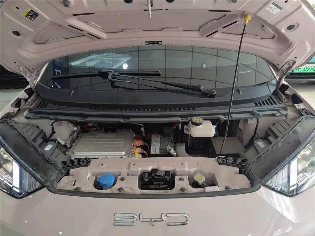 BYD Seagull 2023 Vitality Edition фото 17
