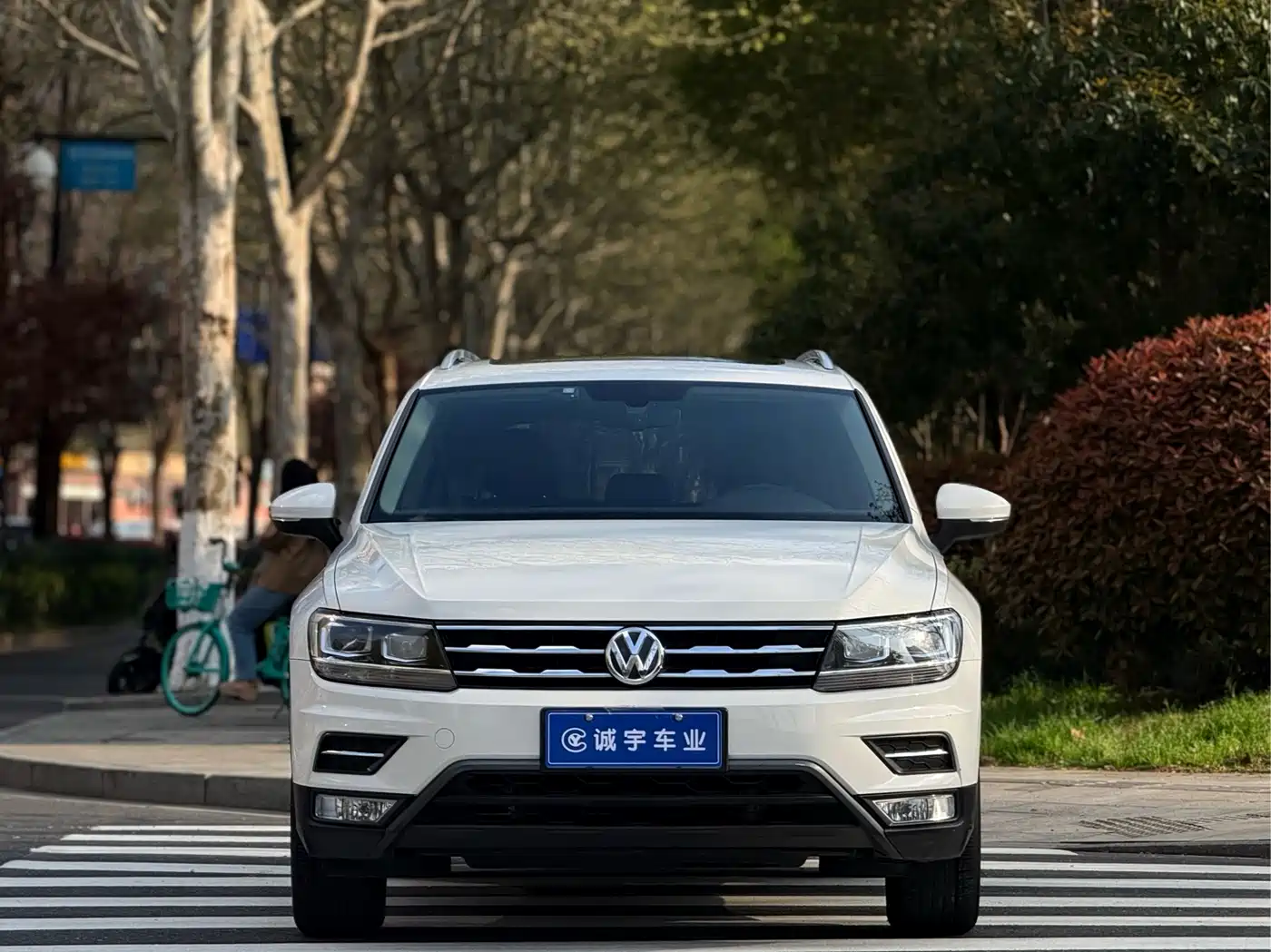 Volkswagen Tiguan L 2018 330TSI Automatic 2WD Luxury Edition фото 2