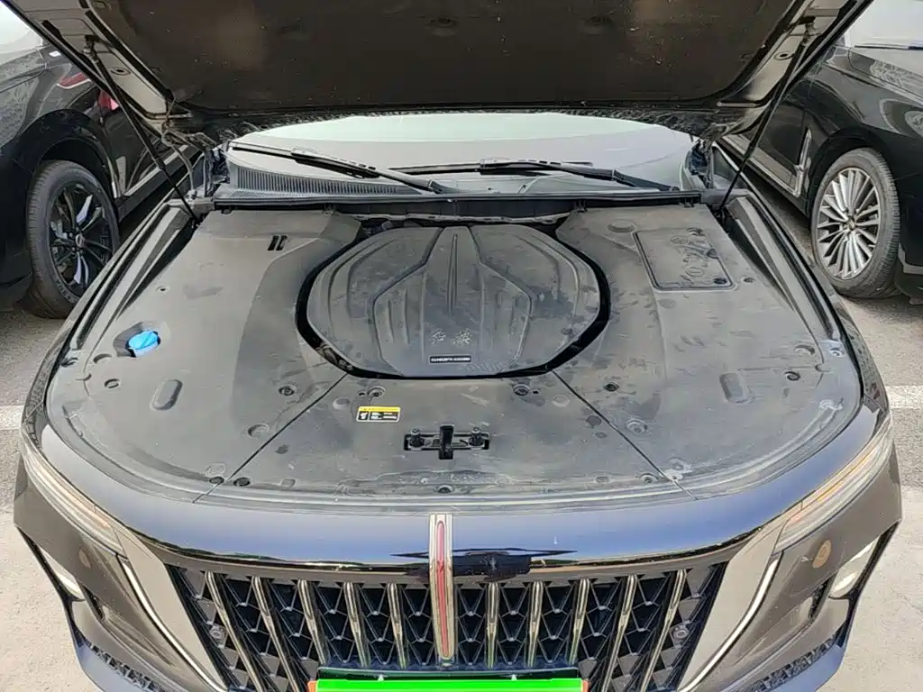 Hongqi H9 2025 2024 2.0T Qi Enjoy Private Fashion Edition