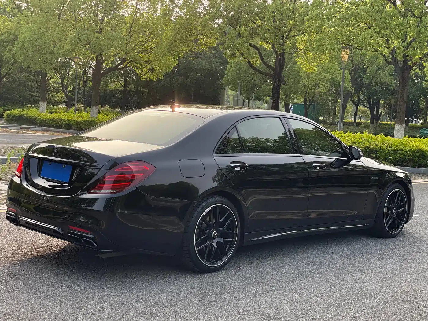 Mercedes-Benz S-Class 2014 S 400 L Luxury фото 16