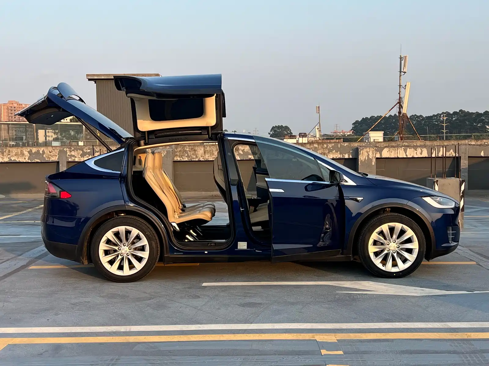 Фото 23 - Tesla Model X