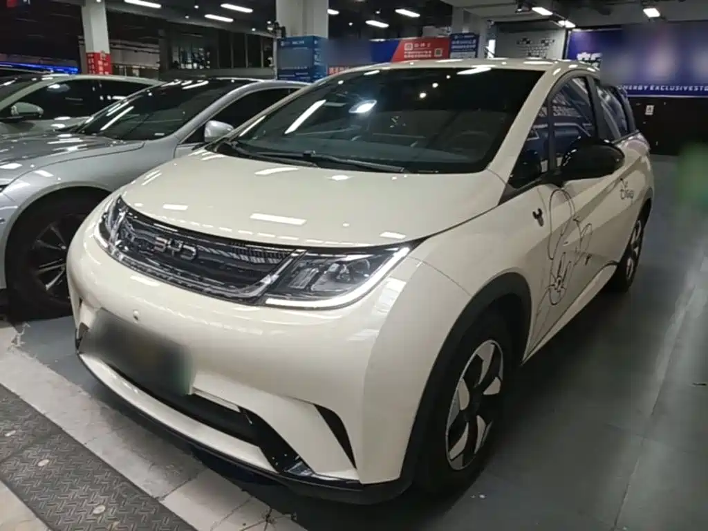  BYD Dolphin 2024 Glory Edition 420km Freedom Edition