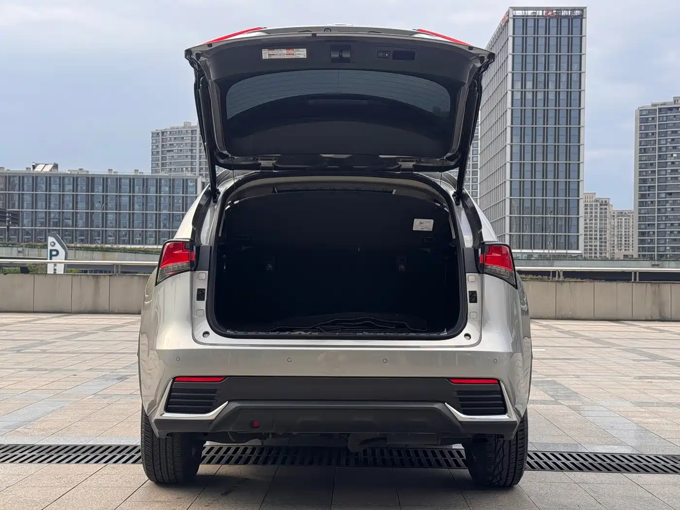 Lexus NX 2020 300 AWD F Sport China V фото 19