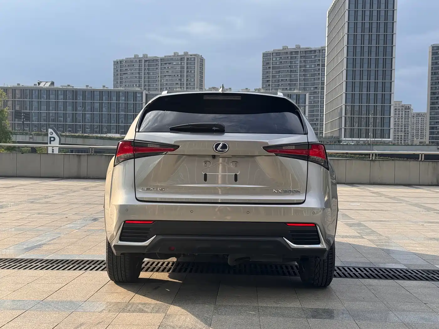 Lexus NX 2020 300 AWD F Sport China V фото 6