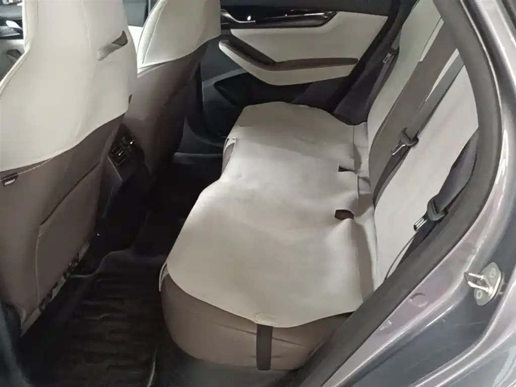 BYD Qin PLUS 2024 Glory Edition DM-i 55KM Leading фото 17