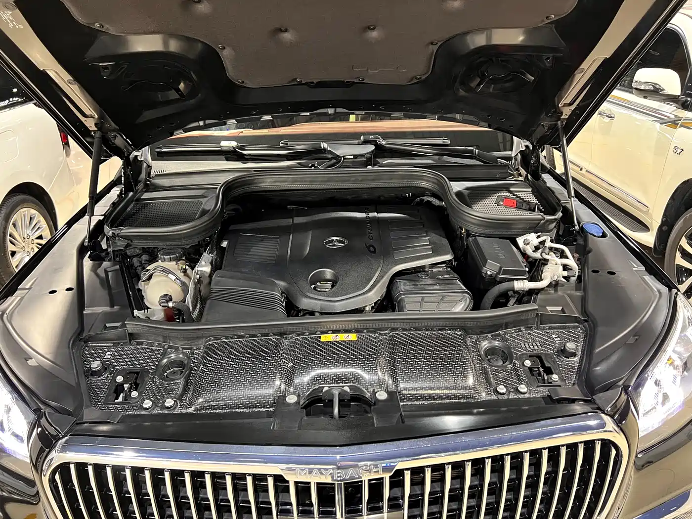 Mercedes-Benz Maybach GLS 2021 GLS 480 4MATIC фото 22