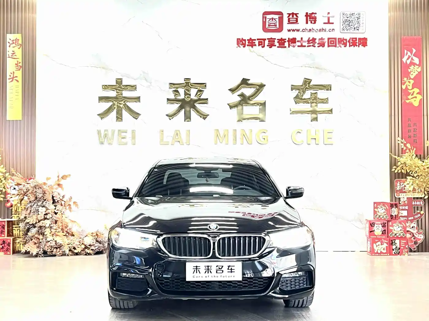 BMW 5 Series 2019 525Li M Sport Package фото 2