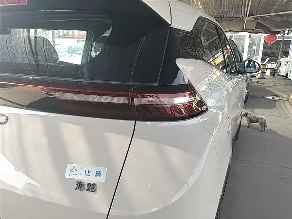 BYD Seagull 2025 305km Vitality фото 8