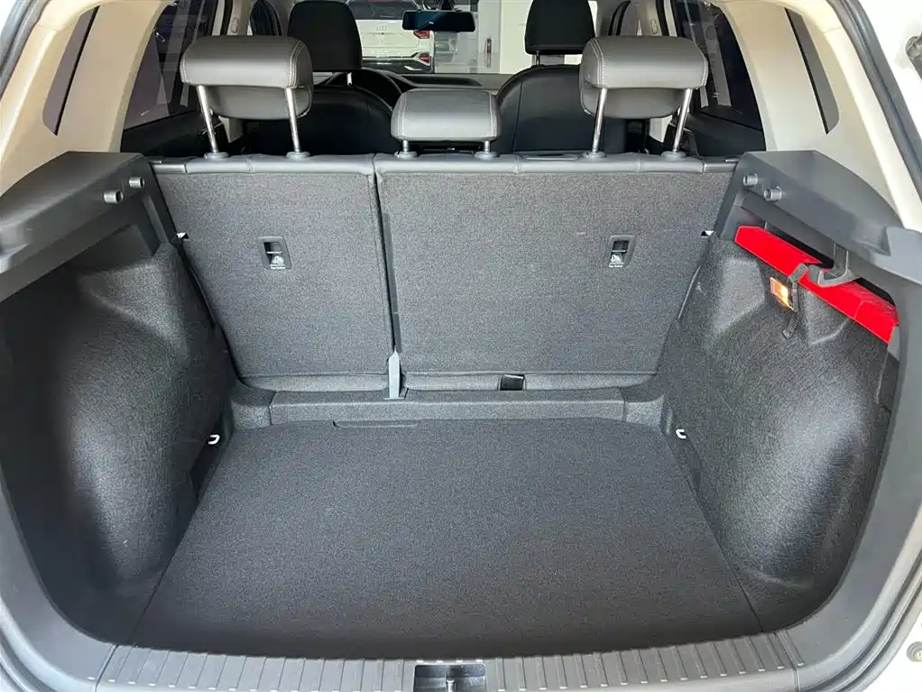 VOLKSWAGEN TUYUE