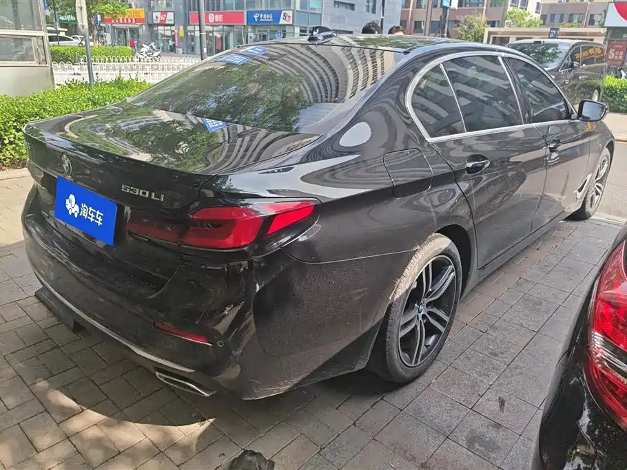 BMW 5 Series 2021 530Li xDrive Luxury Package фото 3