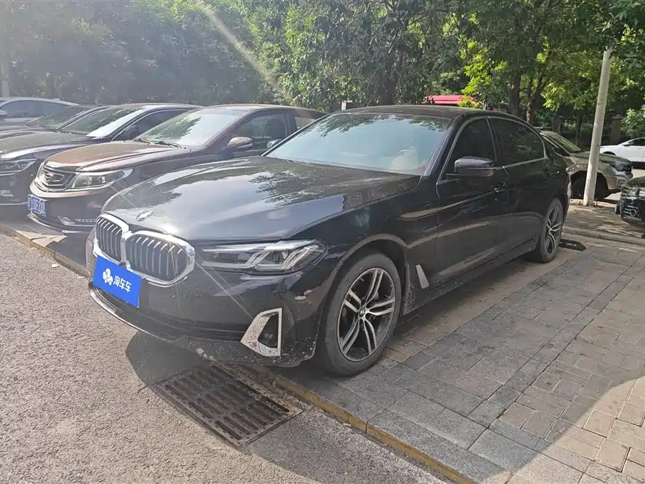 BMW 5 Series 2021 530Li xDrive Luxury Package