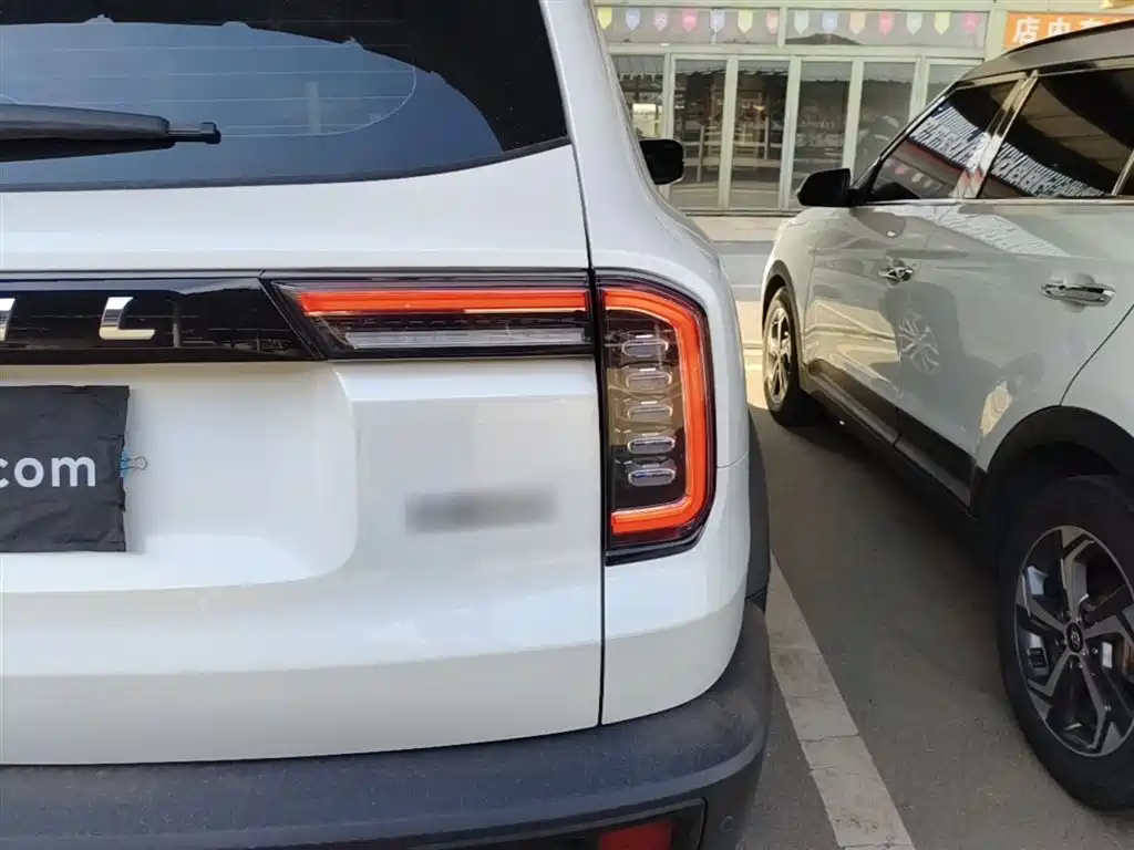 Haval Big Dog 2021 1.5T DCT 2WD Border Collie Edition фото 8
