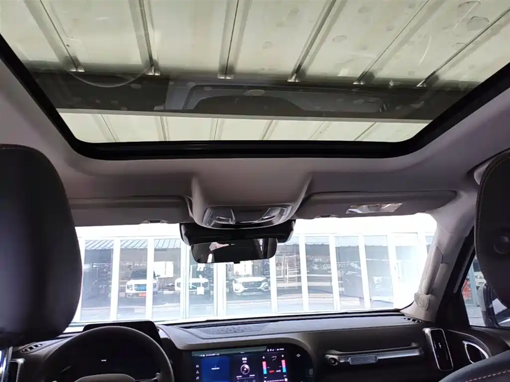 Haval Big Dog 2021 1.5T DCT 2WD Border Collie Edition фото 18