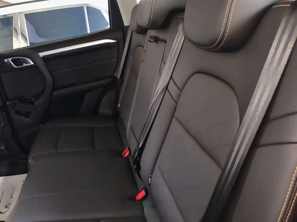 Haval Big Dog 2021 1.5T DCT 2WD Border Collie Edition фото 17