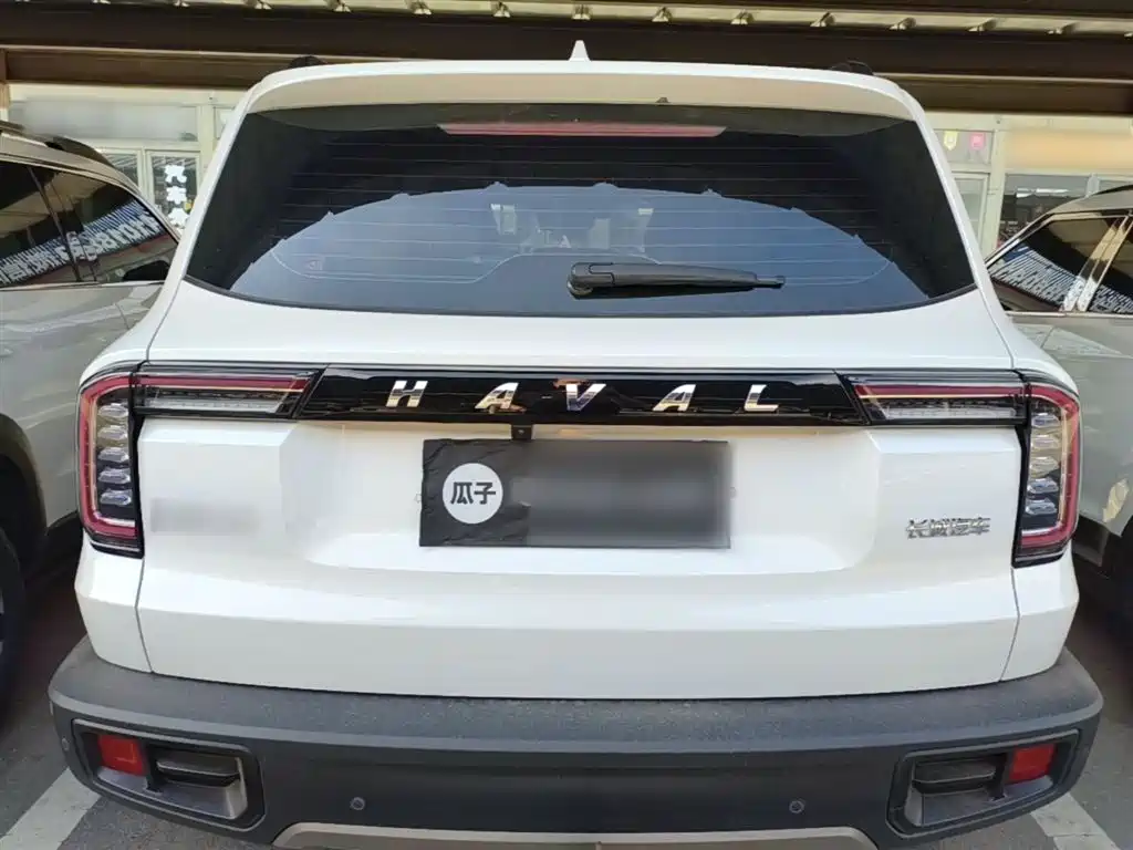 Haval Big Dog 2021 1.5T DCT 2WD Border Collie Edition фото 6