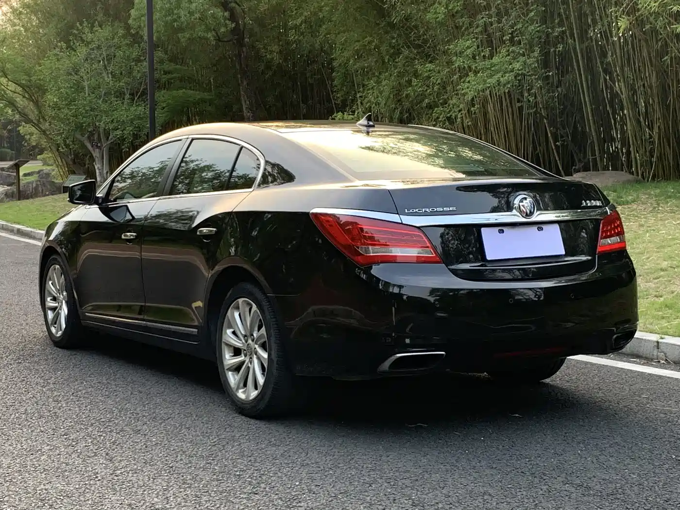 Buick LaCrosse 2013 2.4L SIDI Elite Comfort фото 4