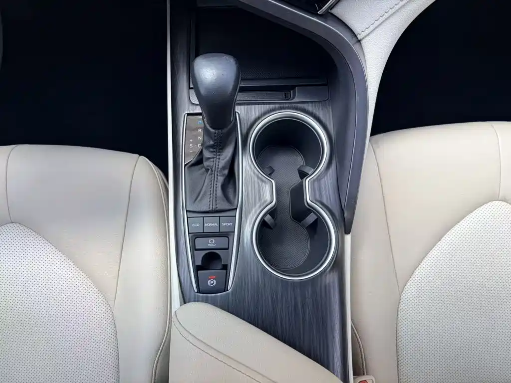 Toyota Camry 2022 2021 2.5G Luxury Edition