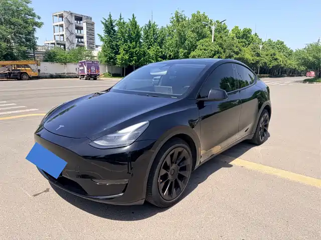 Tesla Model Y 2021 Standard Range Rear-Wheel Drive