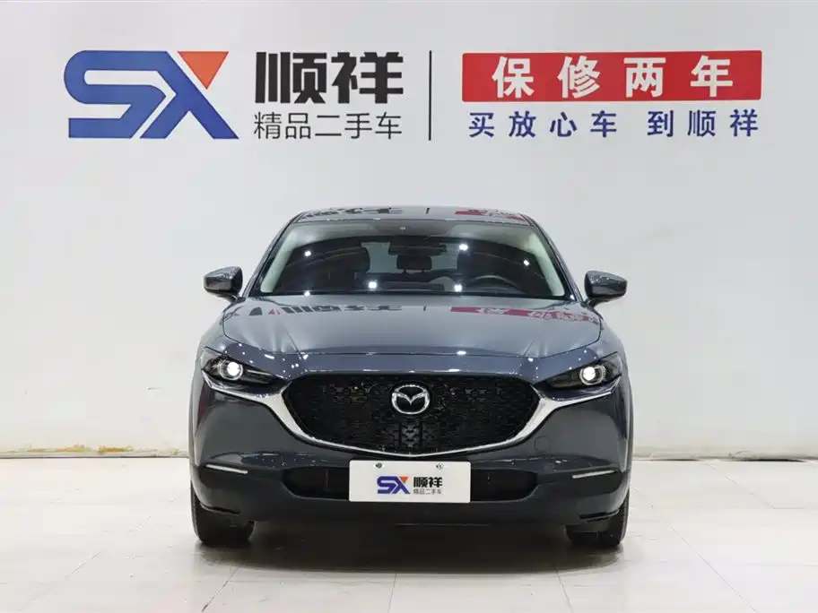 CX 30