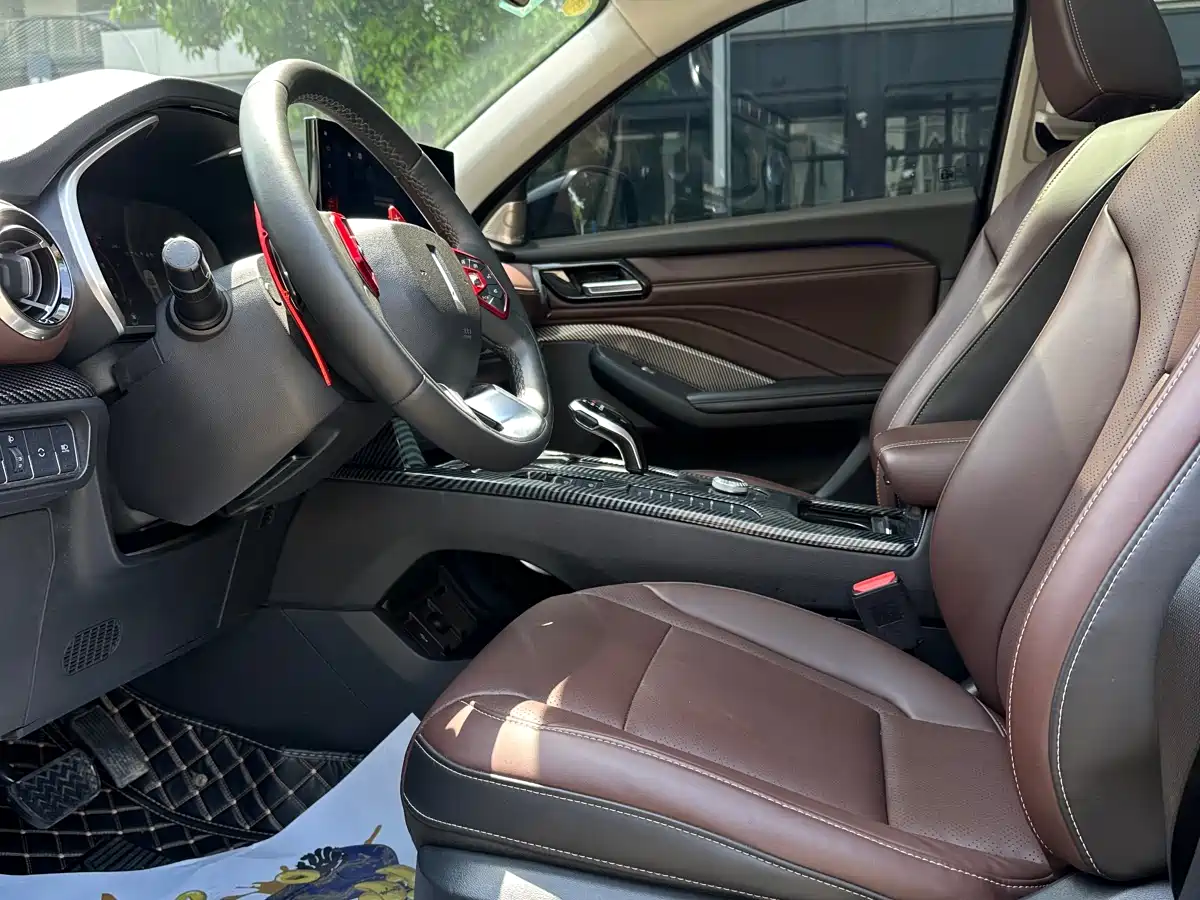 2021 WEY VV6