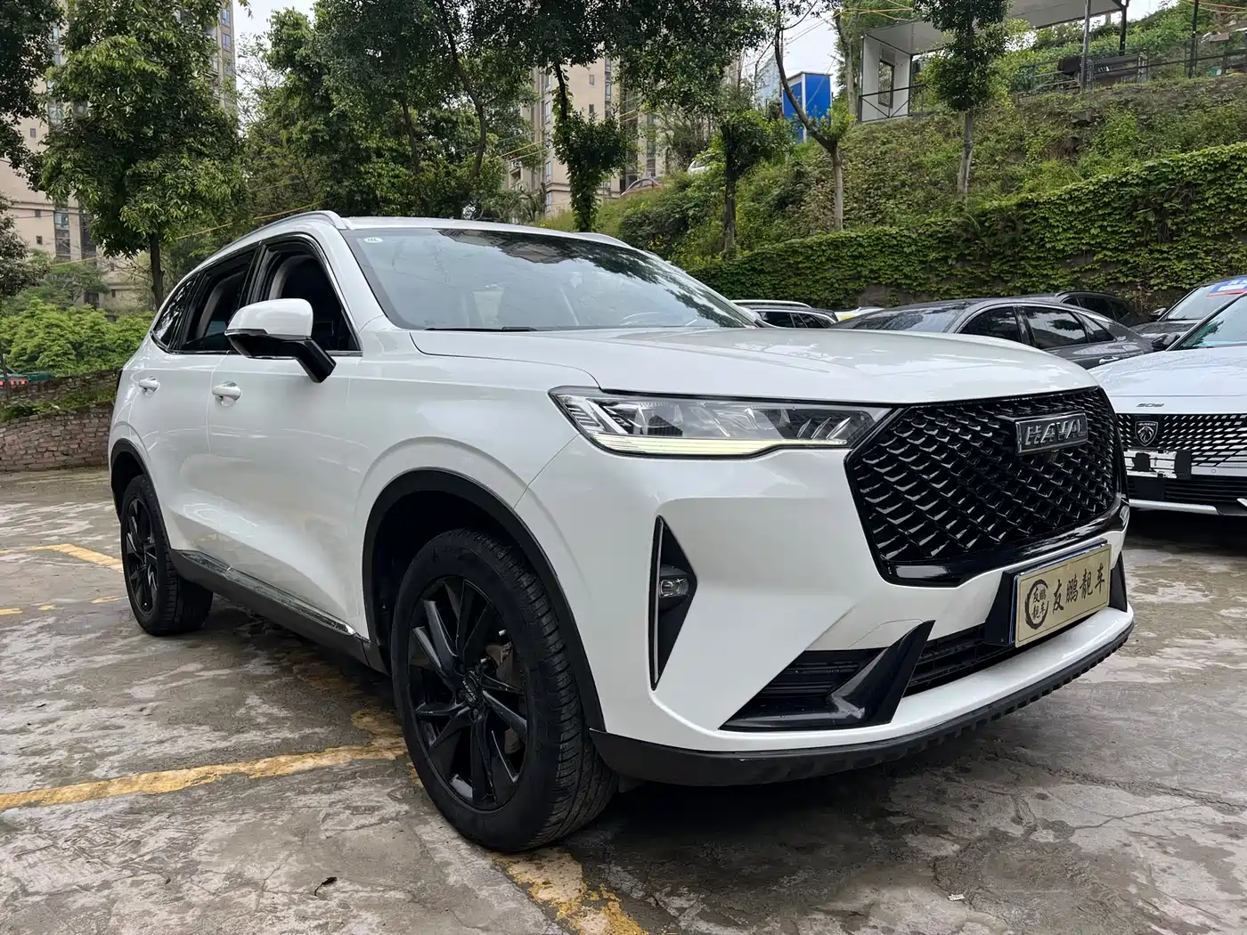 Haval H6 2021 3rd Generation 2.0T Auto AWD Max фото 3