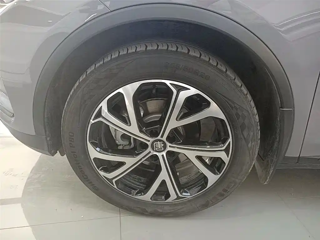 BYD Tang New Energy 2025 DM-i 115KM Cloud Chariot Flagship фото 23